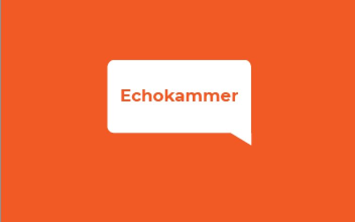 Echokammer