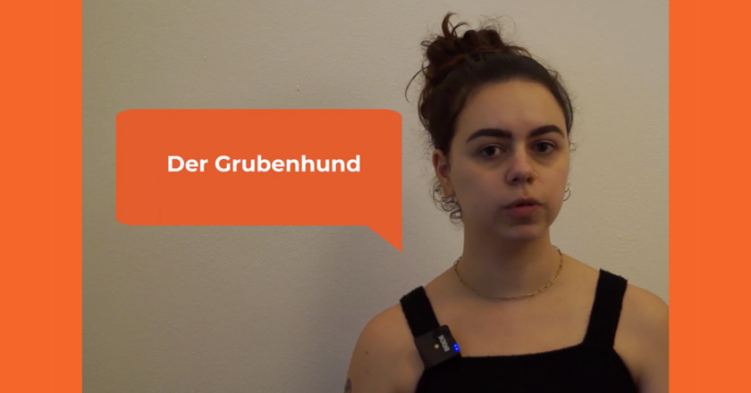 Definition: Grubenhund